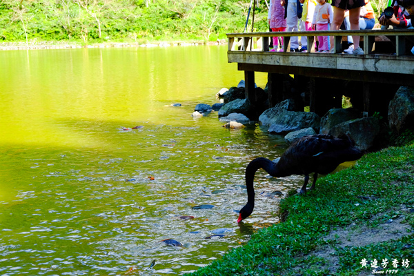 宜蘭明池森林遊樂區-10.jpg 宜蘭明池森林遊樂區-10.jpg