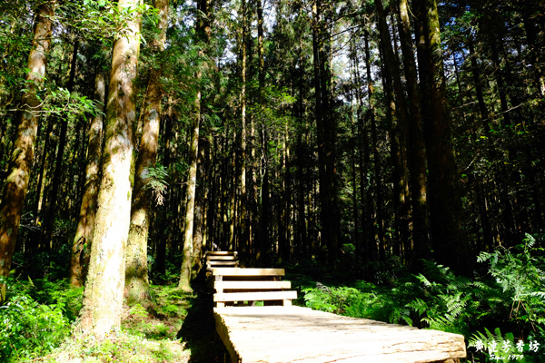 宜蘭明池森林遊樂區-11.jpg 宜蘭明池森林遊樂區-11.jpg