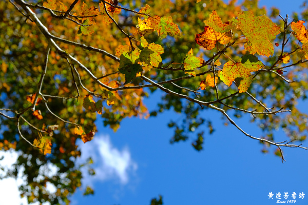 宜蘭明池森林遊樂區-15.jpg 宜蘭明池森林遊樂區-15.jpg