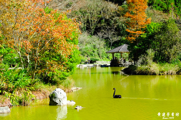 宜蘭明池森林遊樂區-16.jpg 宜蘭明池森林遊樂區-16.jpg