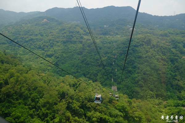 台北避暑的後花園-貓空纜車-4.jpg