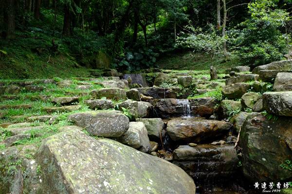 三峽熊空茶園,蜜香紅茶的故鄉-4.jpg 三峽熊空茶園,蜜香紅茶的故鄉-4.jpg