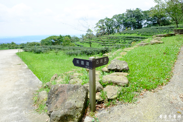 三峽熊空茶園,蜜香紅茶的故鄉-6.jpg 三峽熊空茶園,蜜香紅茶的故鄉-6.jpg