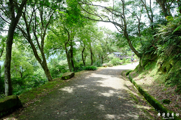 三峽熊空茶園,蜜香紅茶的故鄉-2.jpg 三峽熊空茶園,蜜香紅茶的故鄉-2.jpg