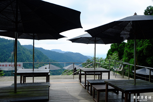 三峽熊空茶園,蜜香紅茶的故鄉-9.jpg 三峽熊空茶園,蜜香紅茶的故鄉-9.jpg