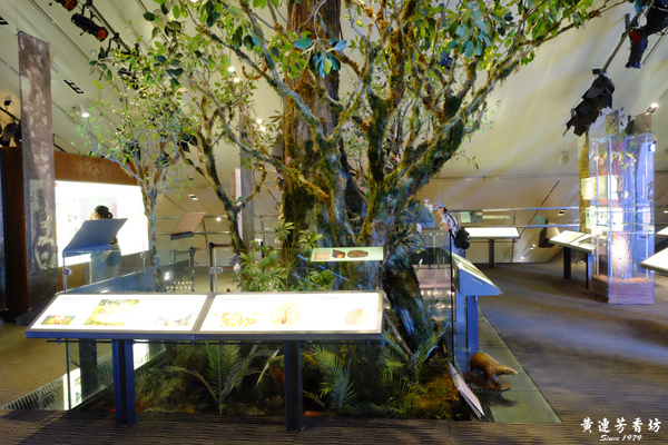 宜蘭蘭陽博物館, 四季音符-3.jpg