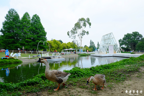 桃園大溪，富田農場夢幻水晶教堂.jpg