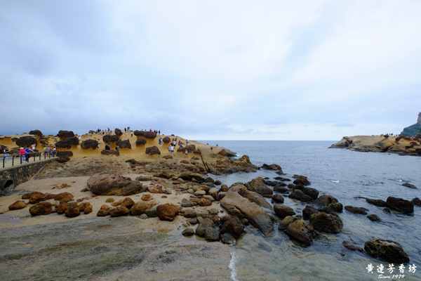 新北萬里北海岸，野柳女王頭-8.jpg