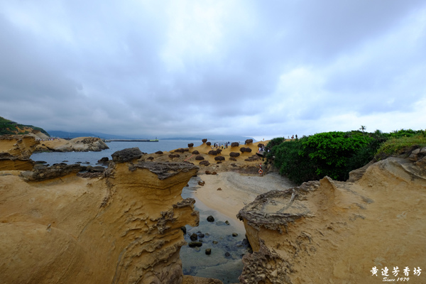新北萬里北海岸，野柳女王頭-9.jpg
