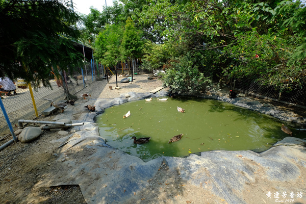 台南新市, 樹谷農場-5.jpg