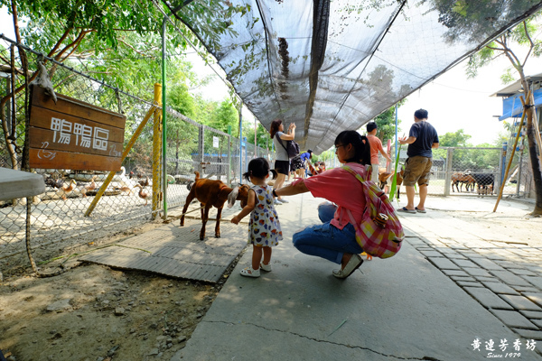台南新市, 樹谷農場-3.jpg