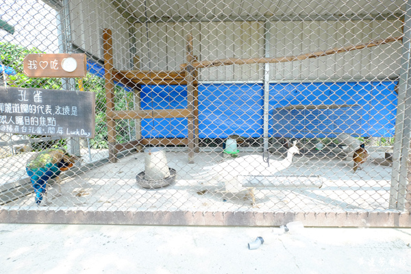 台南新市, 樹谷農場-6.jpg