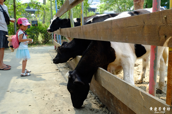 台南新市, 樹谷農場-9.jpg