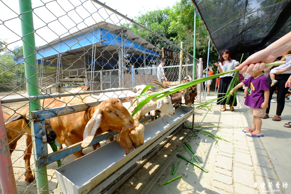 台南新市, 樹谷農場-4.jpg