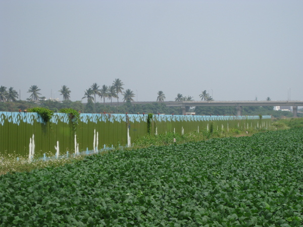 台鐵潮州基地2009/4月進度5