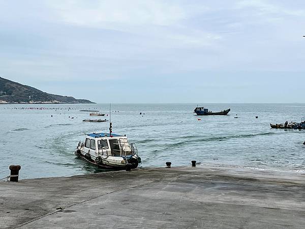 馬祖大坵梅花鹿_大坵島碼頭