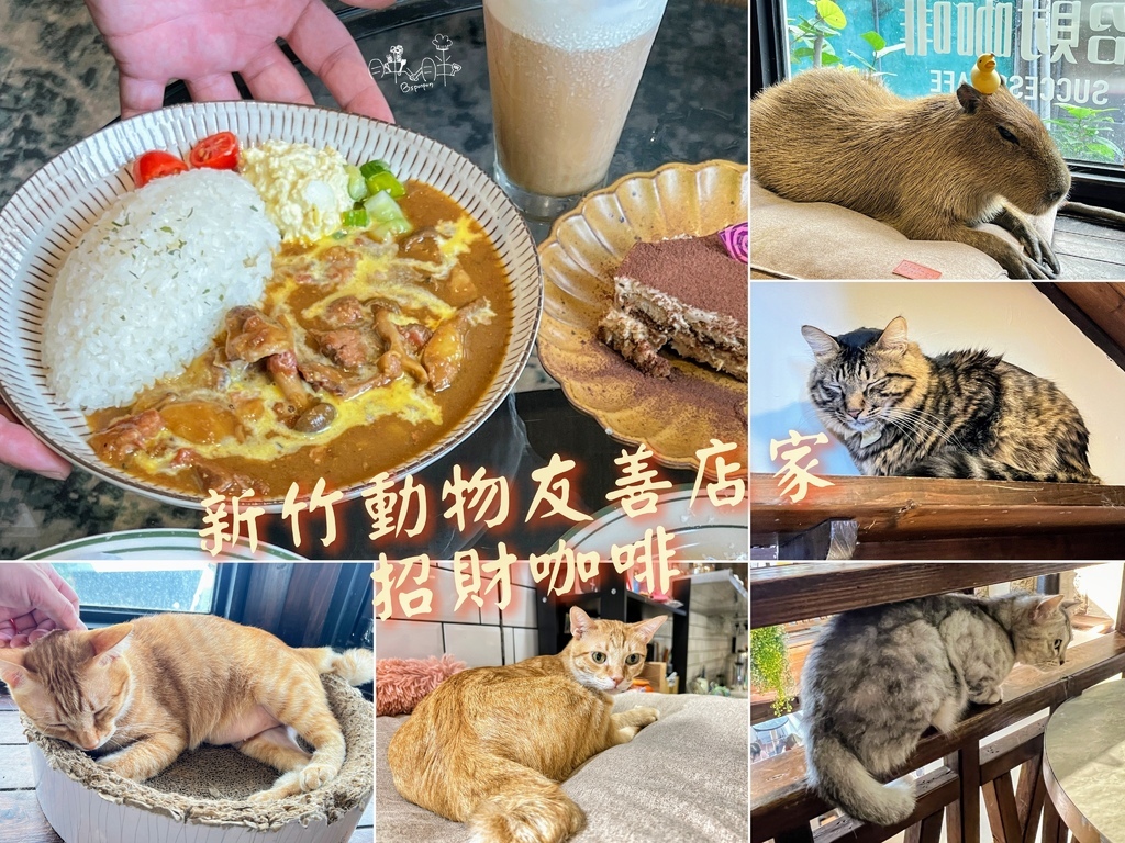 新竹動物友善店家_招財咖啡