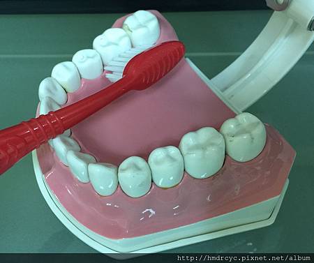 [蛀牙填補] 正確的刷牙方式 為什麼每天刷牙還會蛀牙? 高雄