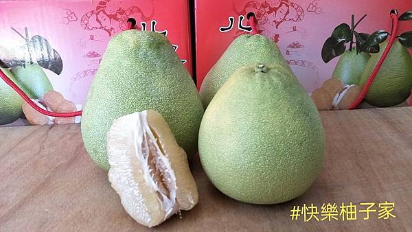 快樂柚子家 熊足跡 (2)