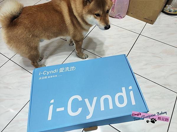 i-Cindi 熊足跡 (1)