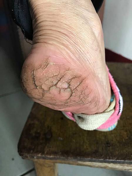 49640360_289323685113379_6215193598619549696_n.jpg 試用