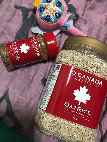 50456912_2211731388879040_5583451282867224576_n.jpg 試用