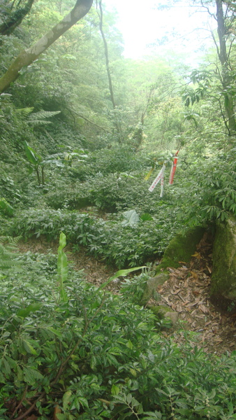 食指峰旁的陡峭捷徑