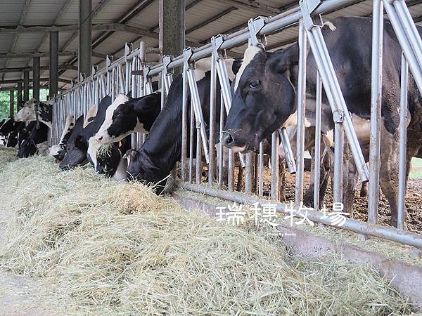 P7300000_調整大小