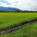 玉里，客城