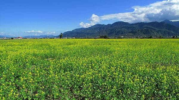 玉里，客城