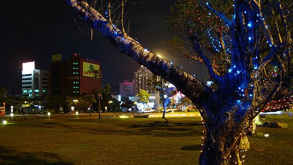 花蓮站的夜空