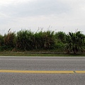 東部海岸公路