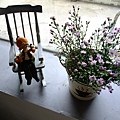 DSCF5105.JPG