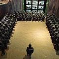 DSCF5082.JPG