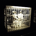 DSCF5207.JPG
