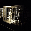 DSCF5216.JPG