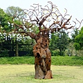 DSCF5240.JPG