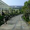DSCF5302.JPG