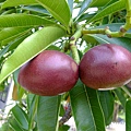 DSCF5313.JPG
