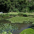 DSCF5007.JPG