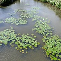 DSCF5011.JPG