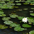 DSCF5014.JPG