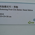P1150034.JPG