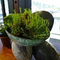 P1150156.JPG
