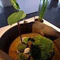 P1150245.JPG