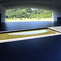 DSCF5571.JPG