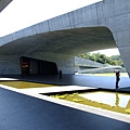DSCF5588.JPG