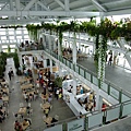 DSCF5396.JPG