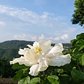 P1000549.JPG