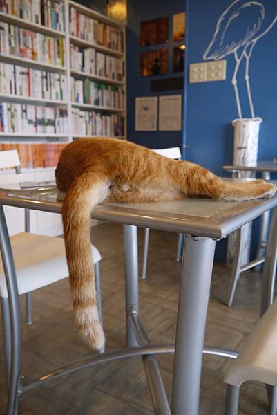 P1030630.JPG